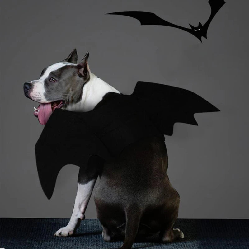 Bat Wings Costume for Cats & Dogs – Halloween Pet Costume & Party Accessory