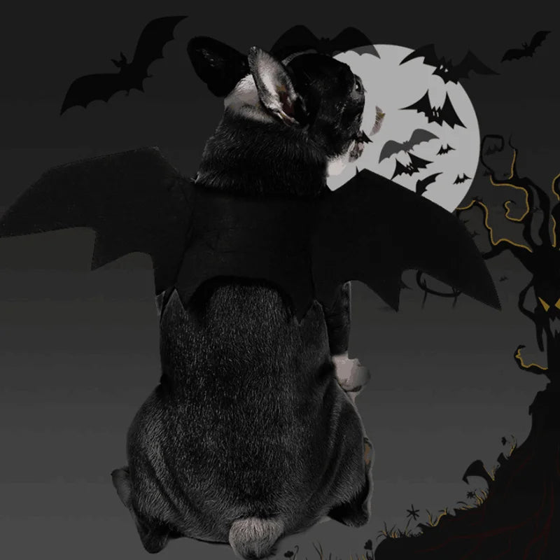 Bat Wings Costume for Cats & Dogs – Halloween Pet Costume & Party Accessory