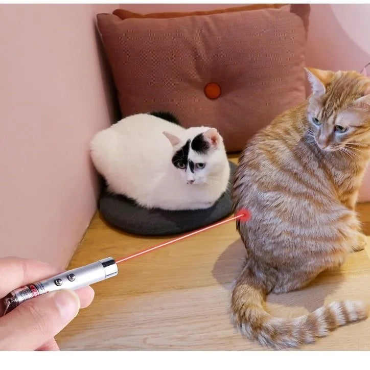 Interactive LED Cat Laser Toy – Rechargeable Laser Pointer & Flashlight for Cats