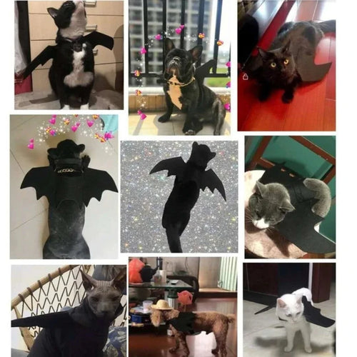 Adjustable batwing wing costume, soft polyester material, cute cosplay outfit for cats, small dogs, Halloween party