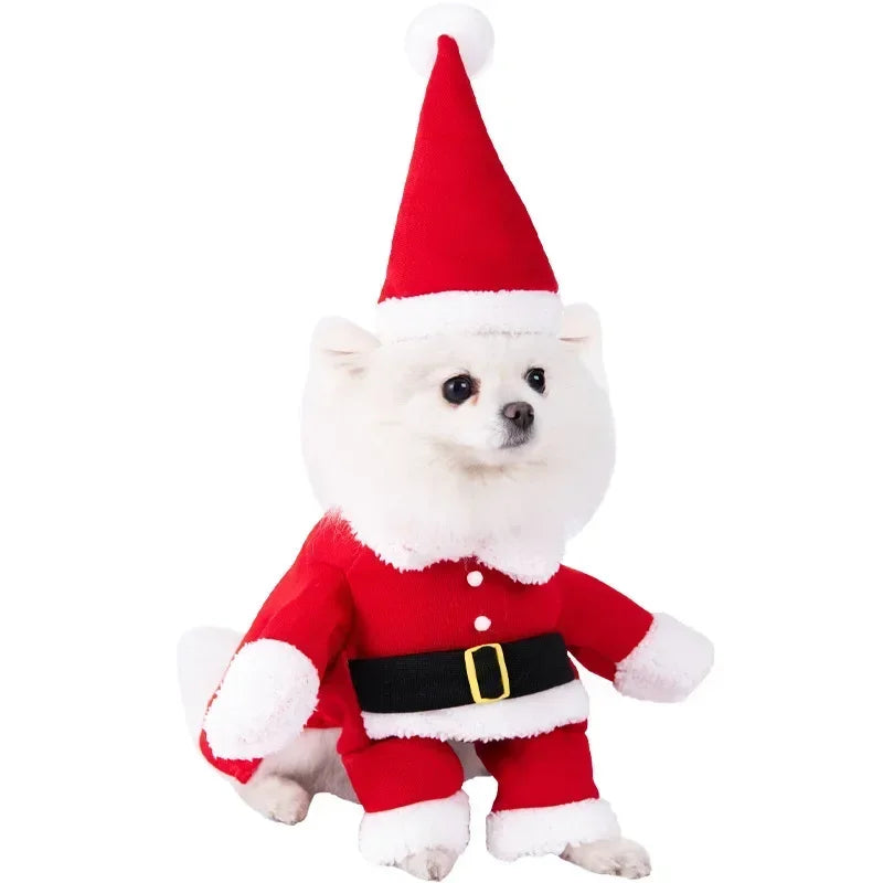 Funny Halloween Pet Costume – Adorable Adjustable Cosplay Outfit for Small & Medium Dogs & Cats