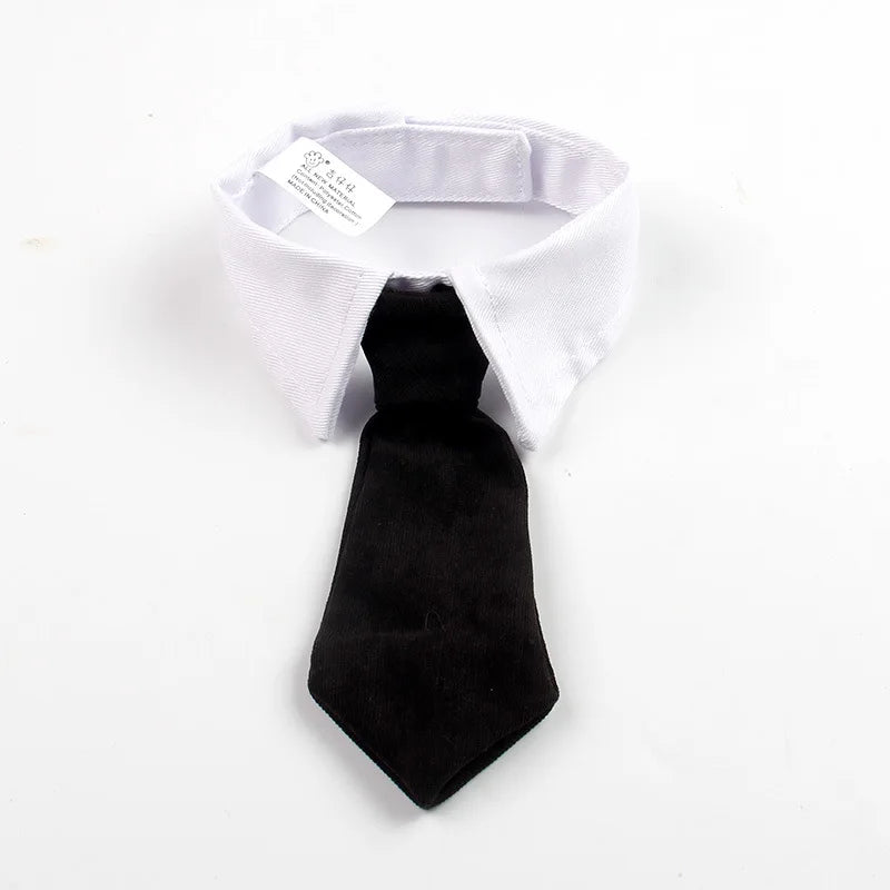Gangster Cat Costume – Funny Hat & Tie Set for Halloween & Cosplay