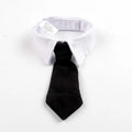 Gangster Cat Costume – Funny Hat & Tie Set for Halloween & Cosplay