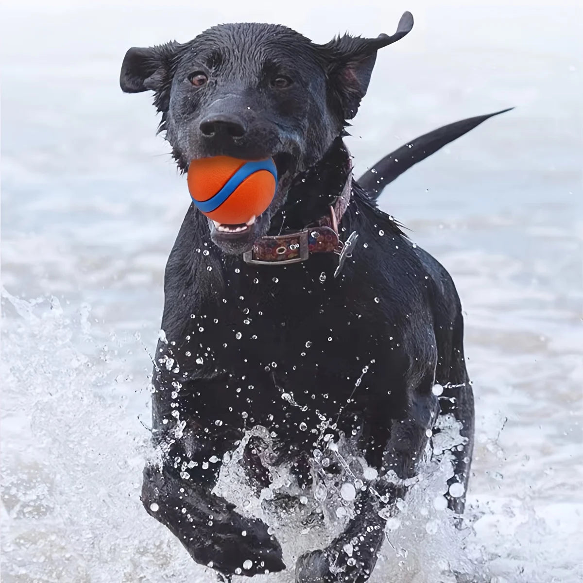 Durable Silicone Dog Chew Ball - Interactive Pet Toy for Medium Breeds, Teeth Cleaning & Play Fun, Dog Toy
