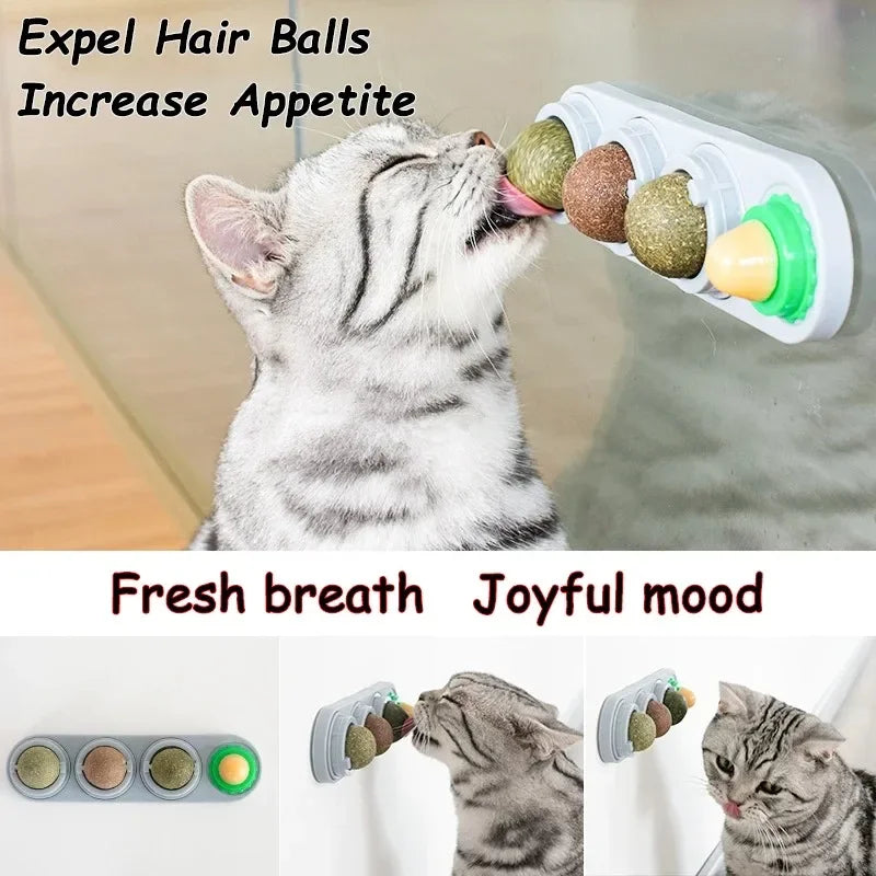 PurrClean™ 4-in-1 Silvervine Cat Ball – Rotating Dental & Interactive Wall Toy