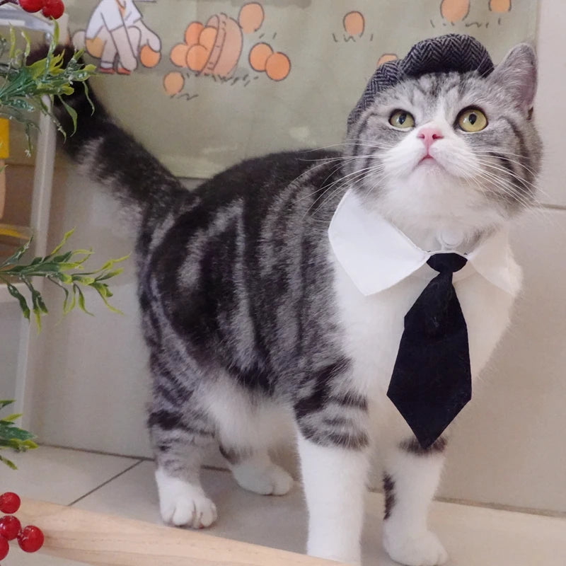 Gangster Cat Costume – Funny Hat & Tie Set for Halloween & Cosplay