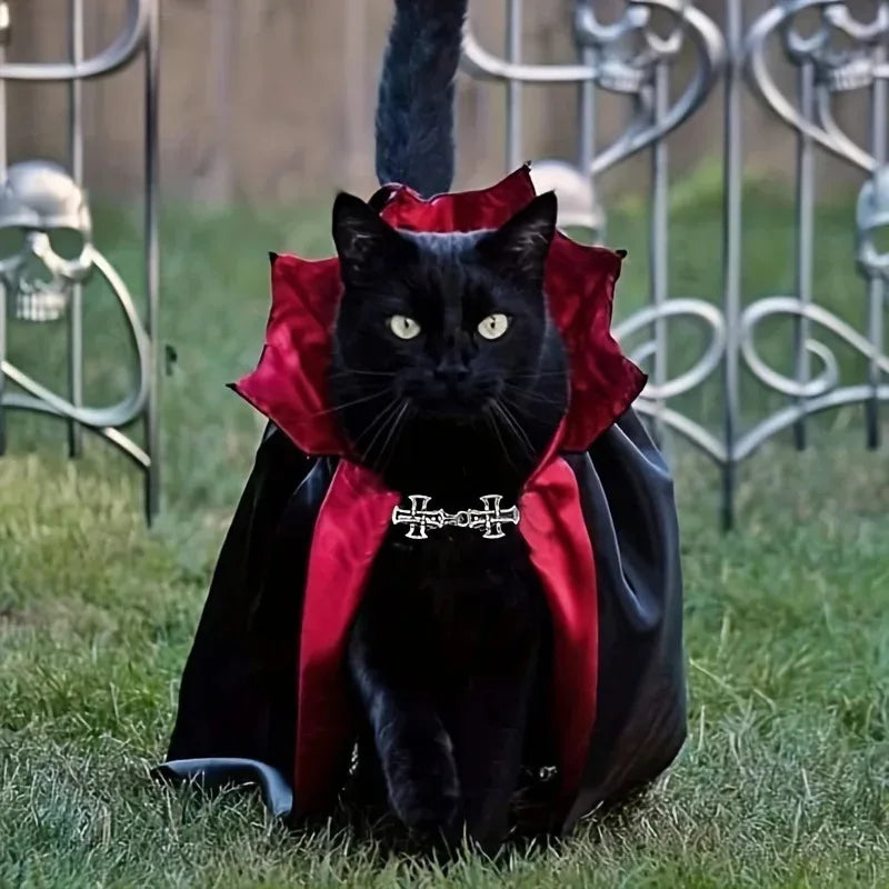 Spooky Vampire Halloween Costume for Cats – Couture Cloak & Hat Set for Pet Parties & Festivals