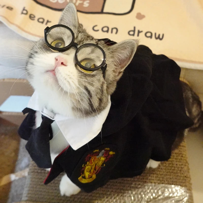 Gangster Cat Costume – Funny Hat & Tie Set for Halloween & Cosplay