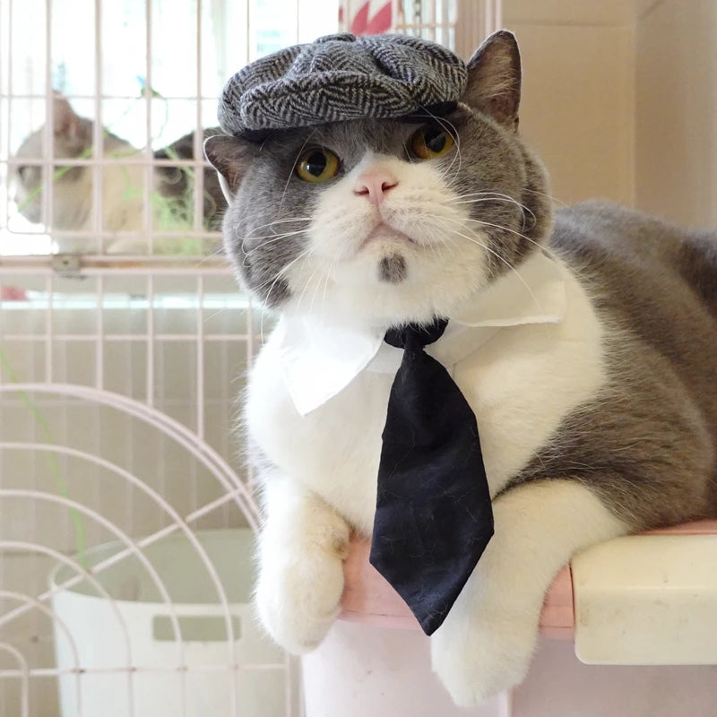 Gangster Cat Costume – Funny Hat & Tie Set for Halloween & Cosplay