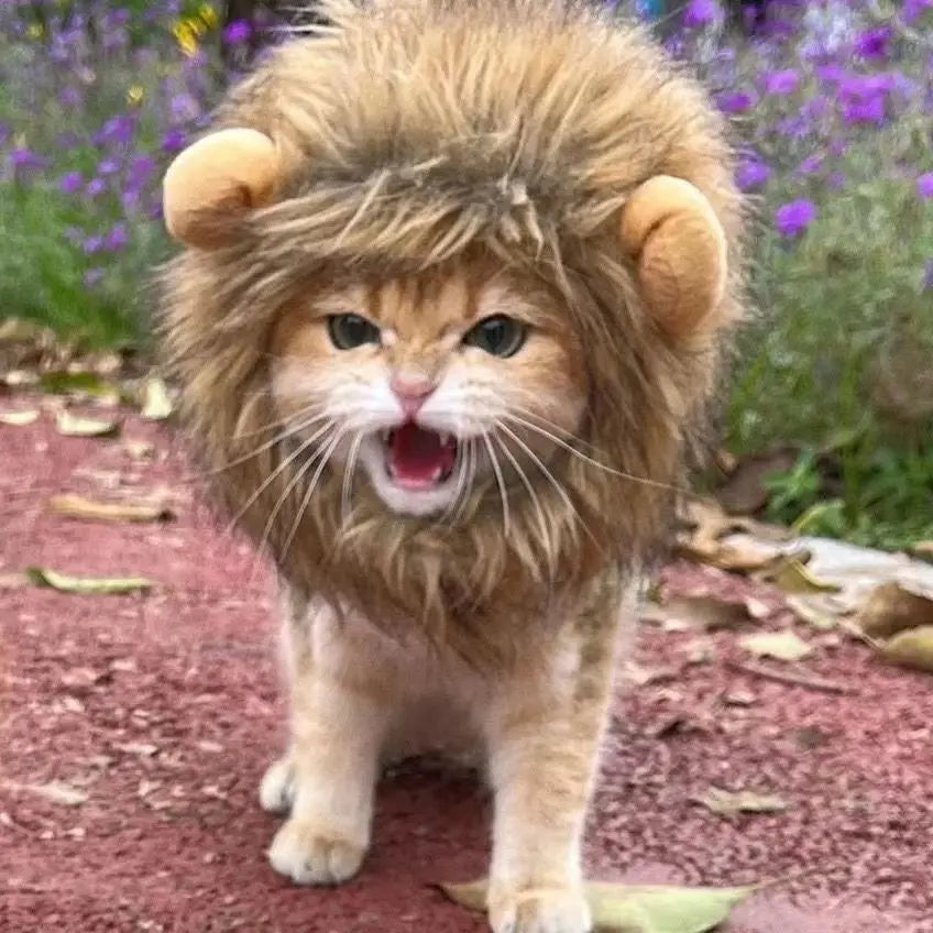 Funny Lion Mane Pet Wig – Cute Cat & Dog Costume Hat for Cosplay, Parties & Photoshoots