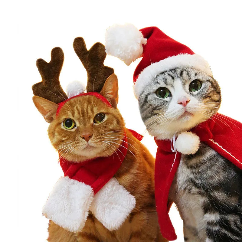 Santa Hat Pet Costume – Cute Christmas & Halloween Accessories for Cats, Dogs & Puppies