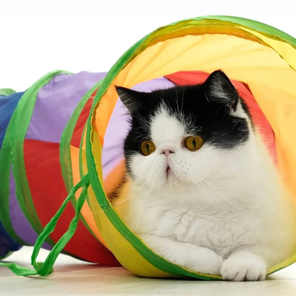 PurrPlay™ Foldable Cat Tunnel – Interactive Hide & Play Toy for Kittens & Cats