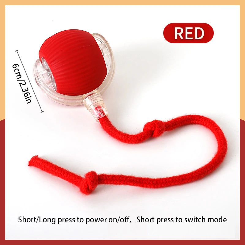 PurrRoll™ Smart Cat Ball – Automatic Interactive USB Rechargeable Toy