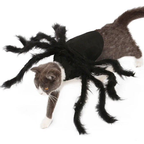 Bat Wing Pet Costume – Cute Halloween Outfit for Cats & Small Dogs