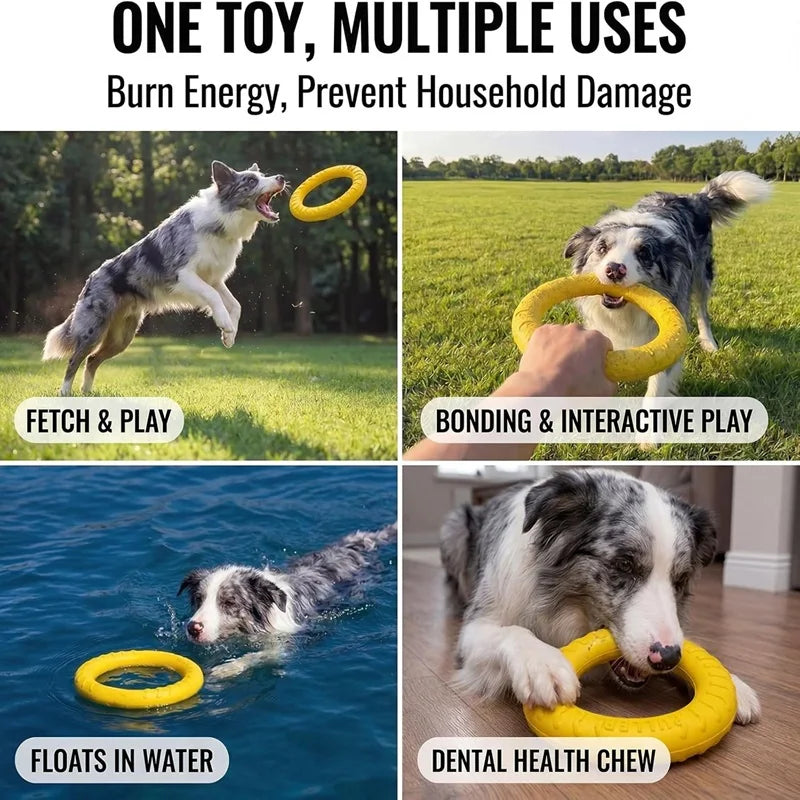 EVA Flying Disc Dog Toy – Durable Interactive Training & Fetch Ring for Dogs