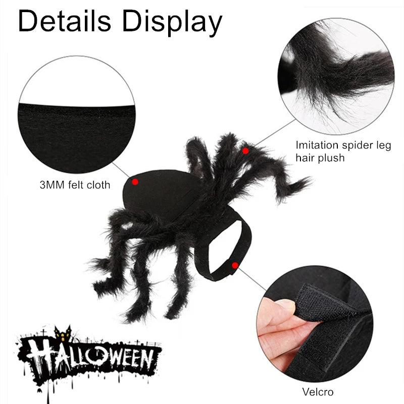 Bat Wing Pet Costume – Cute Halloween Outfit for Cats & Small Dogs