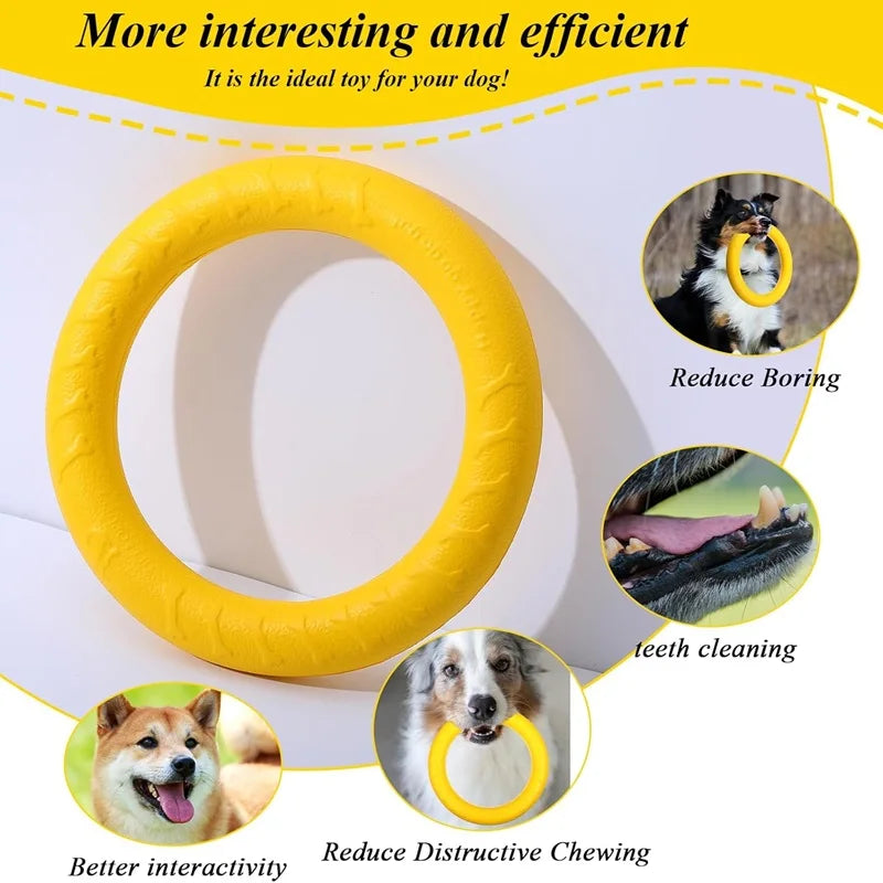 EVA Flying Disc Dog Toy – Durable Interactive Training & Fetch Ring for Dogs