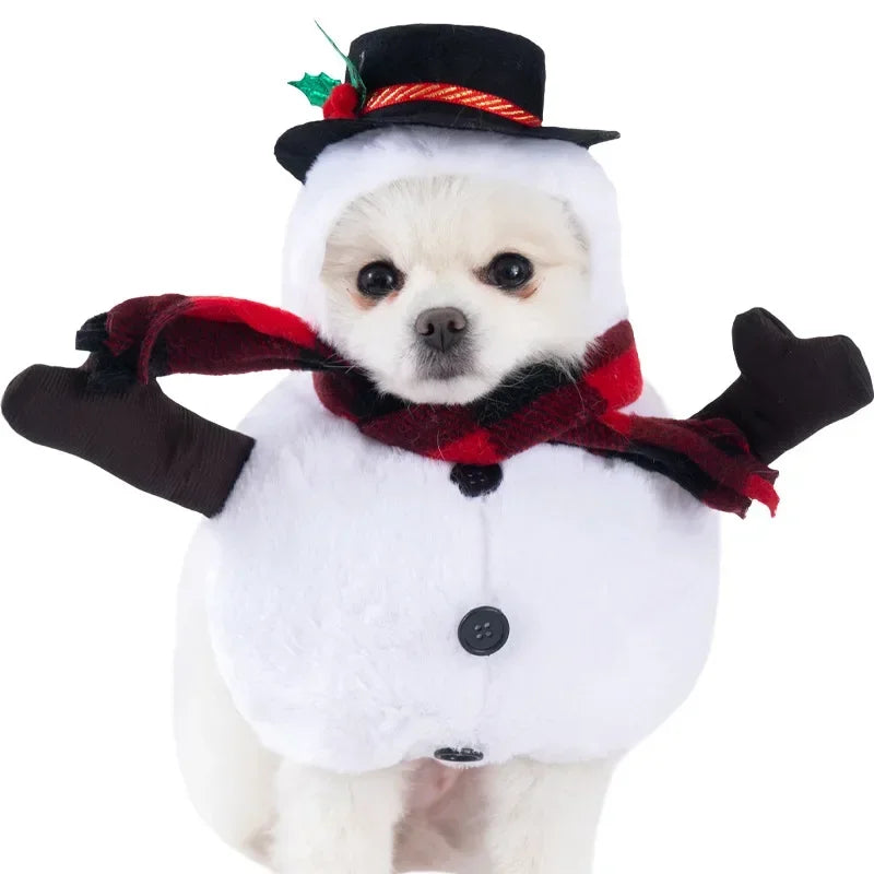 Funny Halloween Pet Costume – Adorable Adjustable Cosplay Outfit for Small & Medium Dogs & Cats