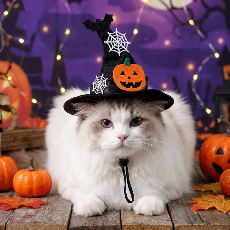 Halloween Cat & Dog Hat – Adjustable Pumpkin Bell Costume Hat