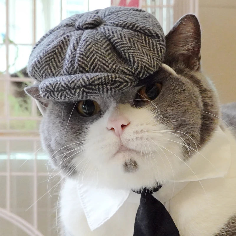 Gangster Cat Costume – Funny Hat & Tie Set for Halloween & Cosplay