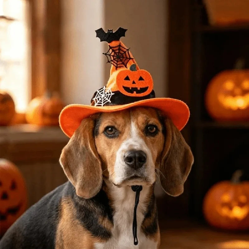 Halloween Cat & Dog Hat – Adjustable Pumpkin Bell Costume Hat
