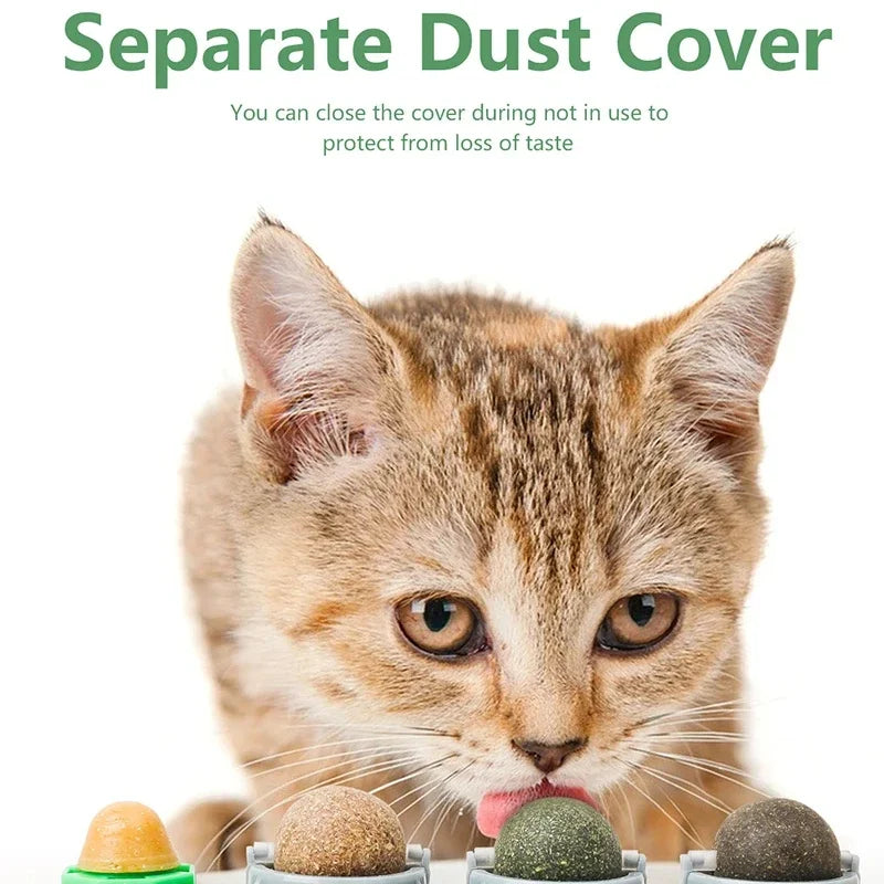 PurrClean™ 4-in-1 Silvervine Cat Ball – Rotating Dental & Interactive Wall Toy