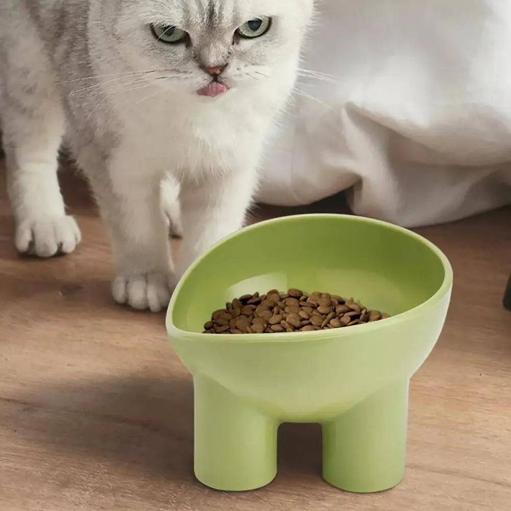PurrElevate™ Raised Cat Bowls – Angled Food & Water Feeder for Indoor Cats