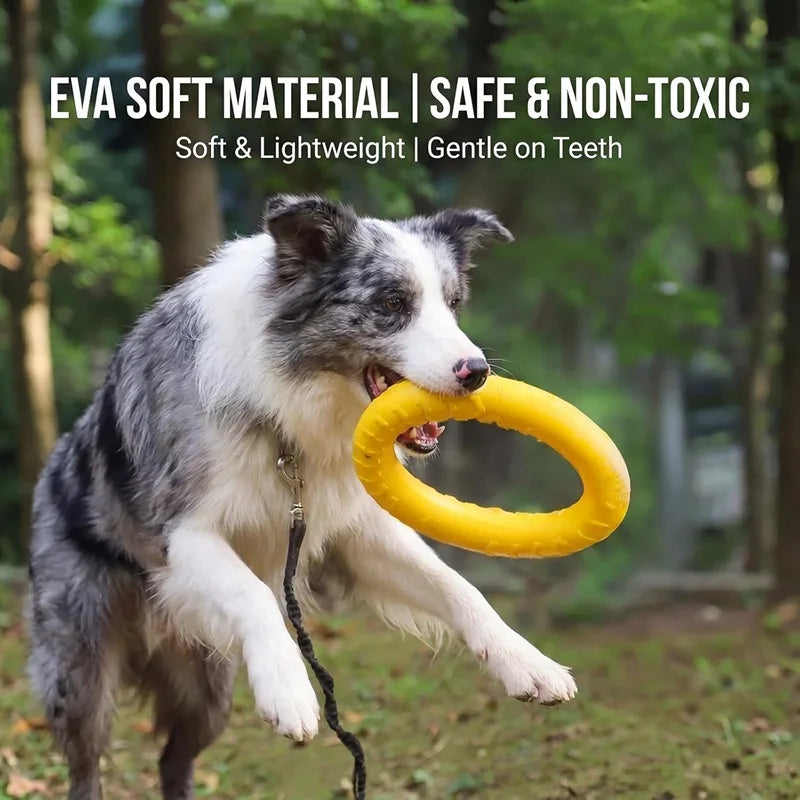 EVA Flying Disc Dog Toy – Durable Interactive Training & Fetch Ring for Dogs