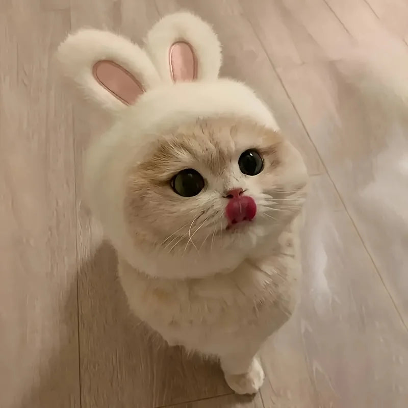 Bunny Ears Cat Costume – Knitted Sweater & Matching Hat Set for Cats and Small Dogs