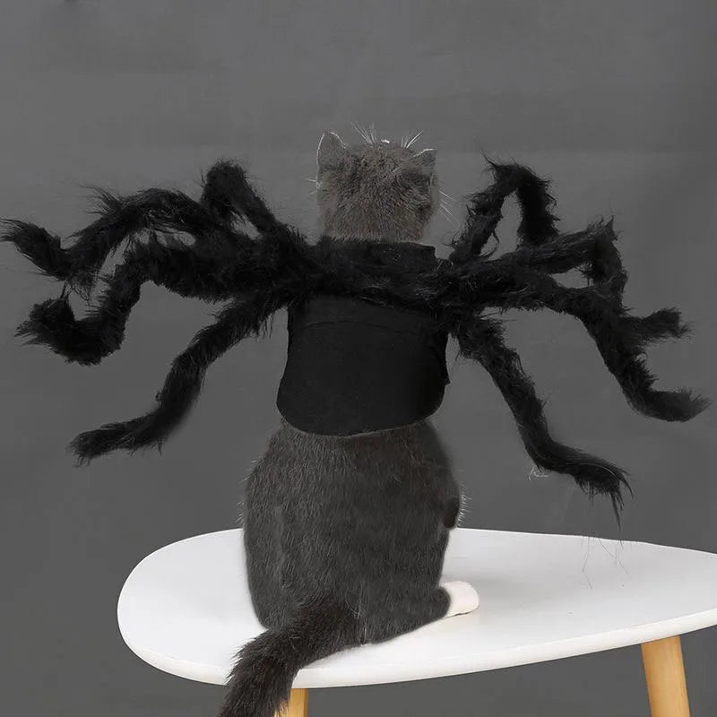 Bat Wing Pet Costume – Cute Halloween Outfit for Cats & Small Dogs