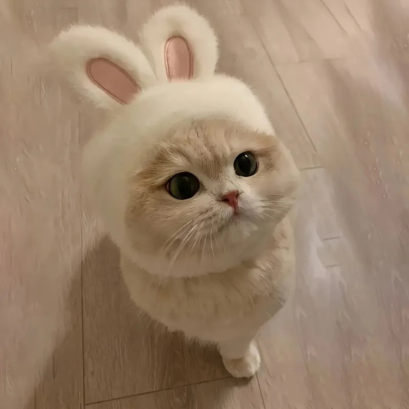 Bunny Ears Cat Costume – Knitted Sweater & Matching Hat Set for Cats and Small Dogs