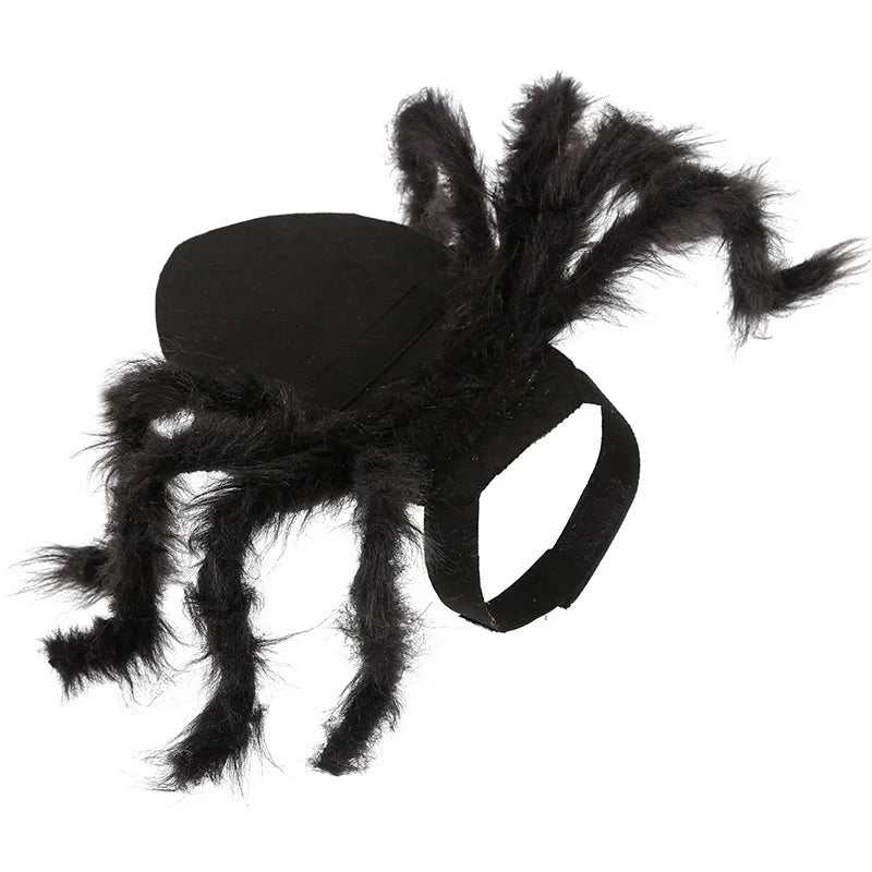 Bat Wing Pet Costume – Cute Halloween Outfit for Cats & Small Dogs