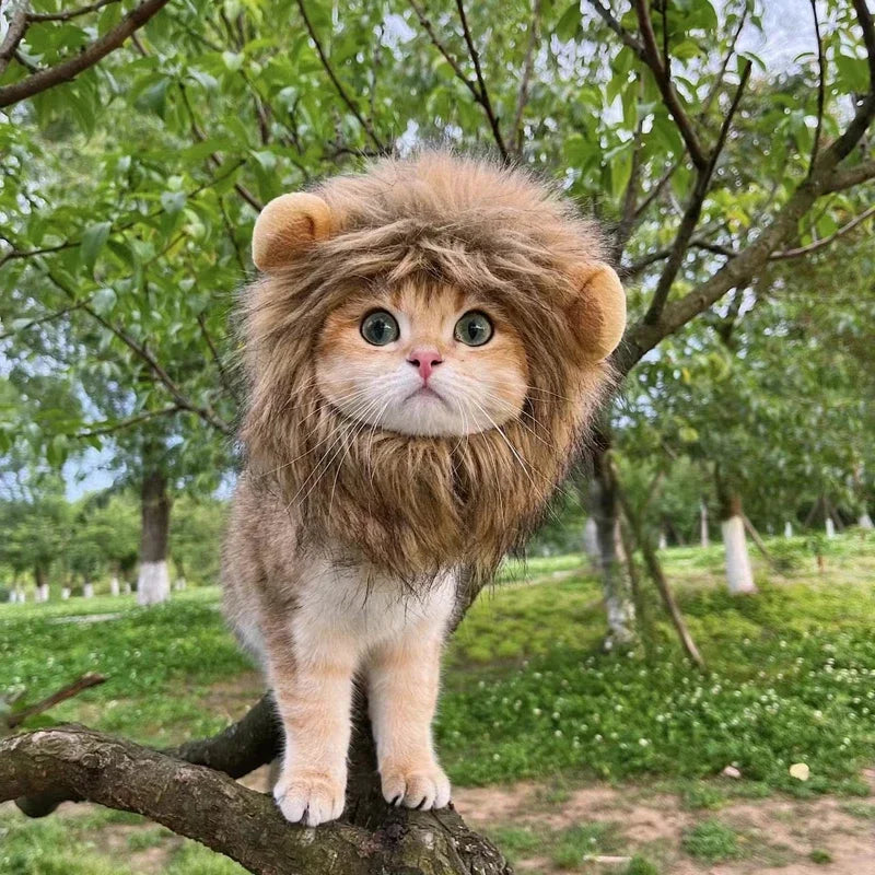 Funny Lion Mane Pet Wig – Cute Cat & Dog Costume Hat for Cosplay, Parties & Photoshoots