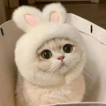 Bunny Ears Cat Costume – Knitted Sweater & Matching Hat Set for Cats and Small Dogs
