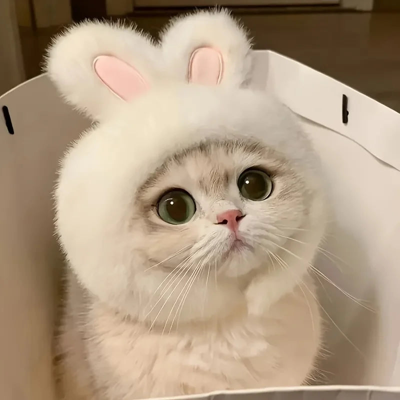 Bunny Ears Cat Costume – Knitted Sweater & Matching Hat Set for Cats and Small Dogs