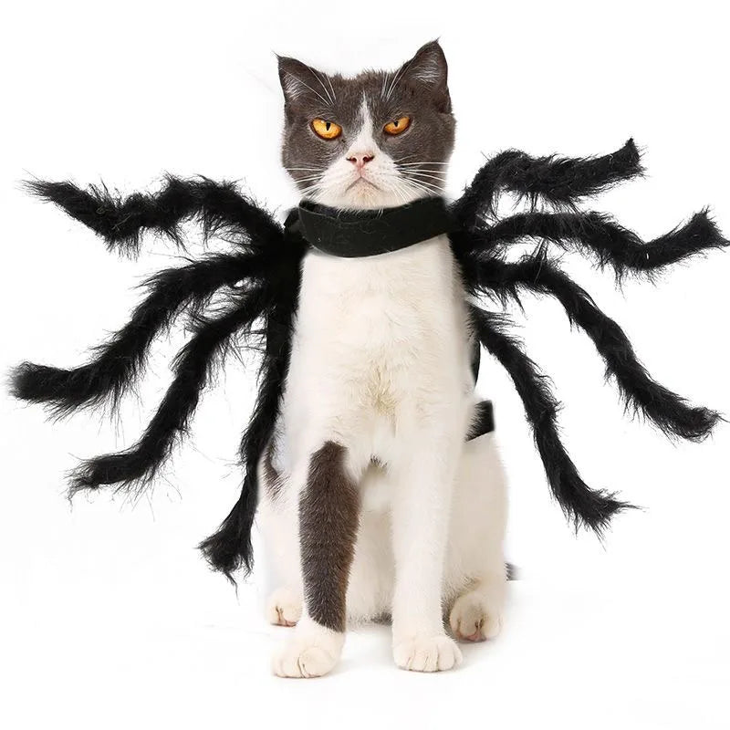 Bat Wing Pet Costume – Cute Halloween Outfit for Cats & Small Dogs