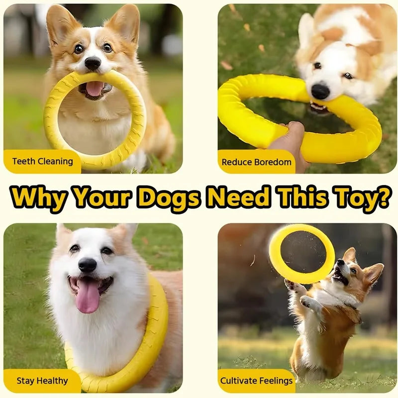 EVA Flying Disc Dog Toy – Durable Interactive Training & Fetch Ring for Dogs