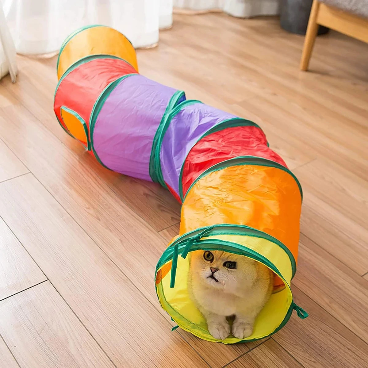 PurrPlay™ Foldable Cat Tunnel – Interactive Hide & Play Toy for Kittens & Cats