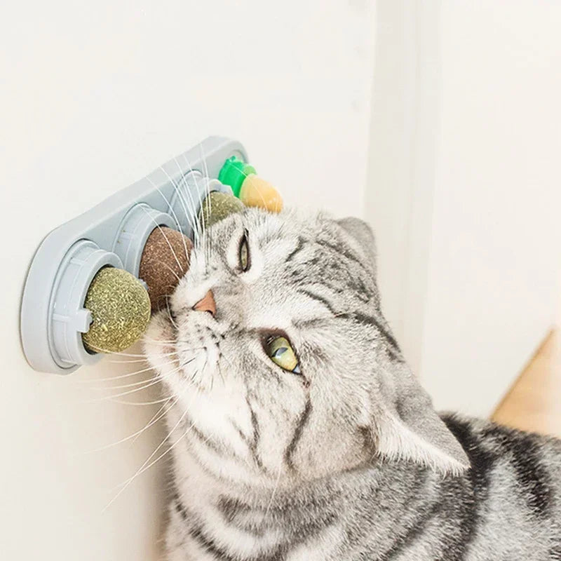 PurrClean™ 4-in-1 Silvervine Cat Ball – Rotating Dental & Interactive Wall Toy
