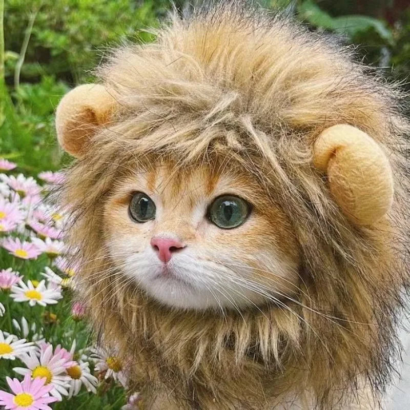Funny Lion Mane Pet Wig – Cute Cat & Dog Costume Hat for Cosplay, Parties & Photoshoots