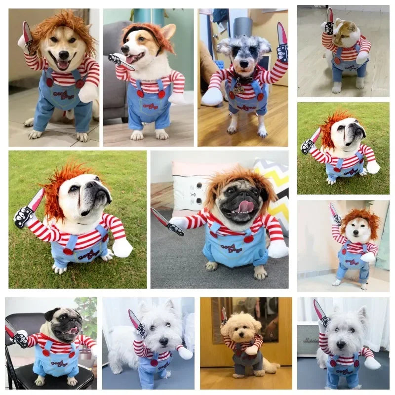 Funny Halloween Pet Costume – Adorable Adjustable Cosplay Outfit for Small & Medium Dogs & Cats