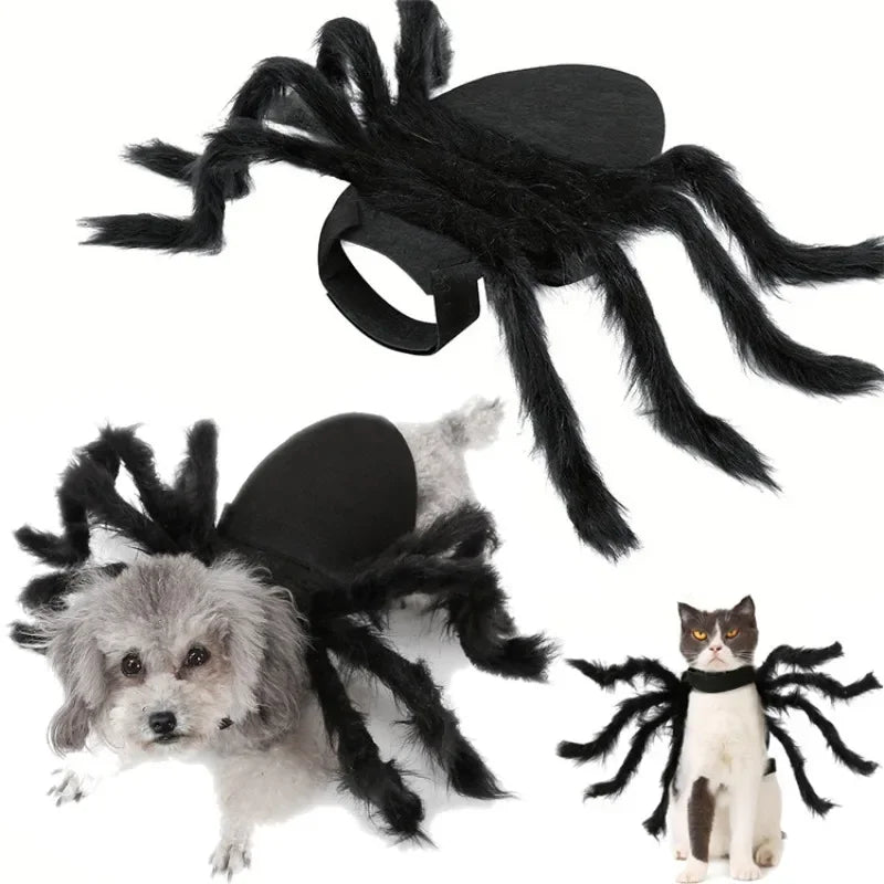 Bat Wing Pet Costume – Cute Halloween Outfit for Cats & Small Dogs